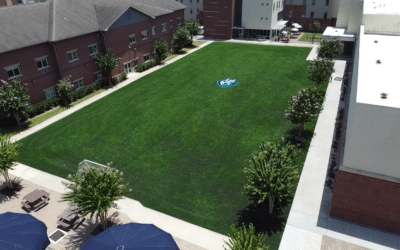 Transform Your Houston Winter with Artificial Turf