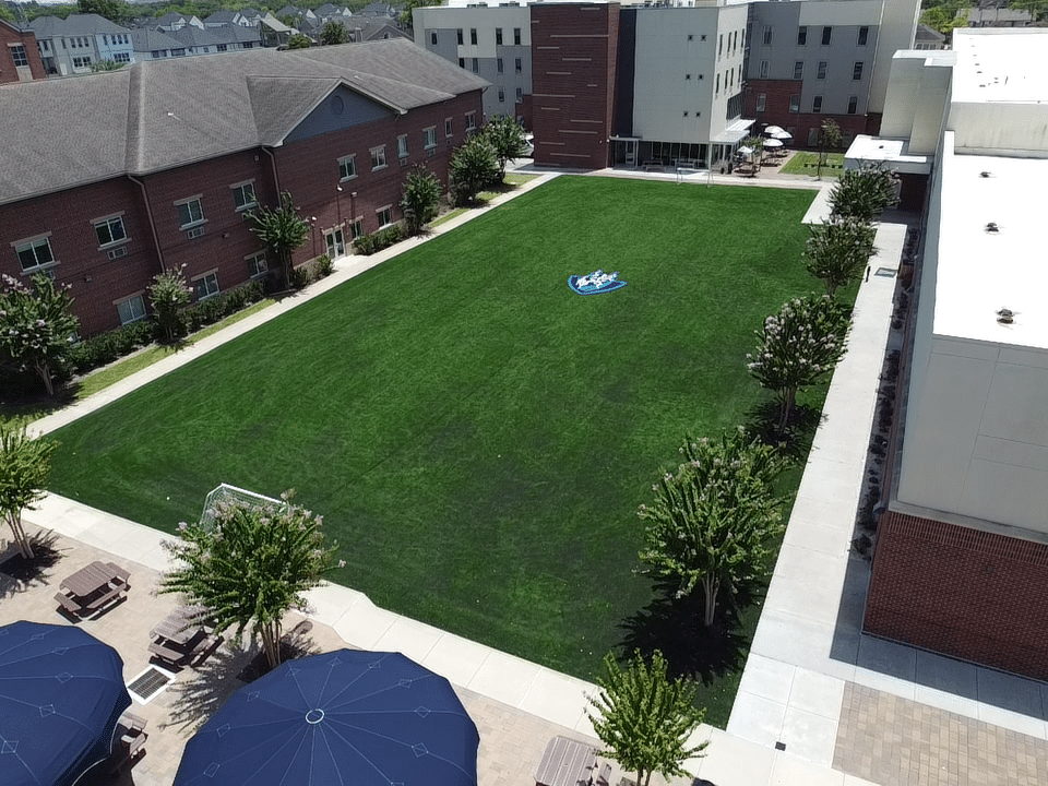 Artificial turf Houston, Artificial grass Houston MGT