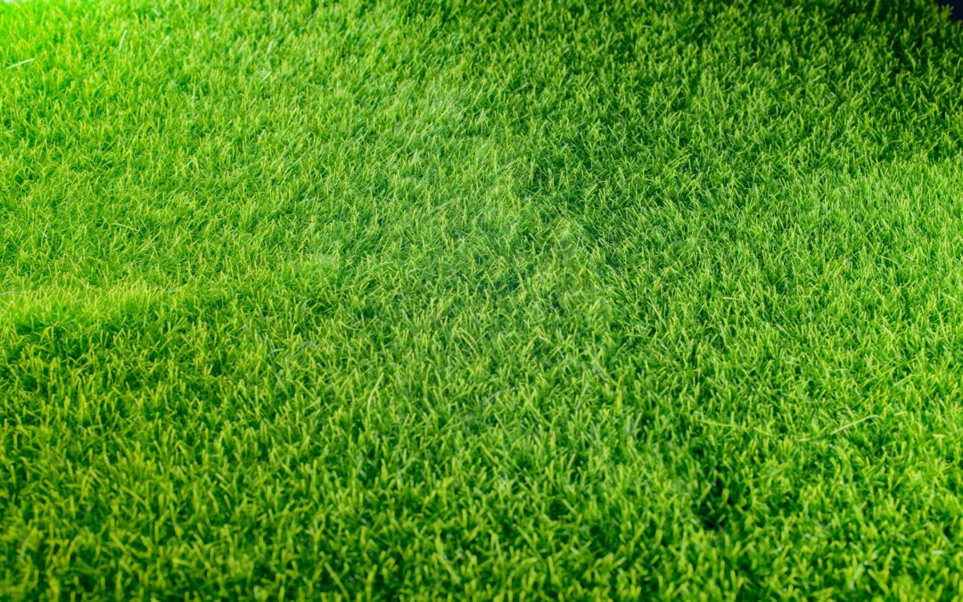 What Makes a Good Turf Supplier You Can Trust?