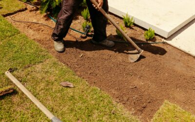 Why Turf Installs Vary in Houston Soil Types