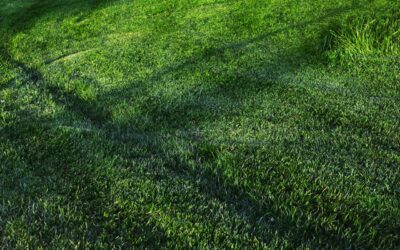 How to Maintain Astro Turf Decking in Fall