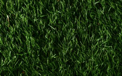 What to Look for in a Quality Synthetic Turf Supplier