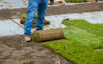 Why Turf Fails in Heavy-Traffic Commercial Use