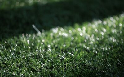 What Makes a Reliable Artificial Grass Installation Company