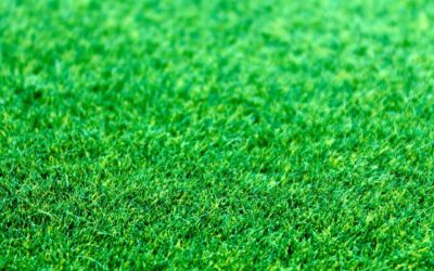 What to Look for in Artificial Grass Installation Companies
